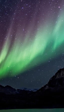 northern lights in the sky